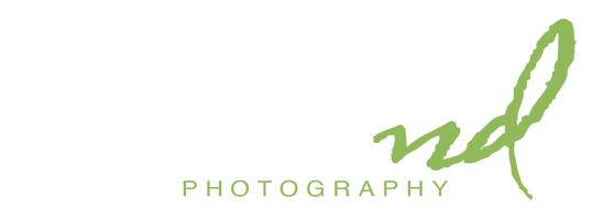 Philadelphia, Lancaster, Harrisburg Wedding Photographers | Nathan Desch Photography, LLC logo