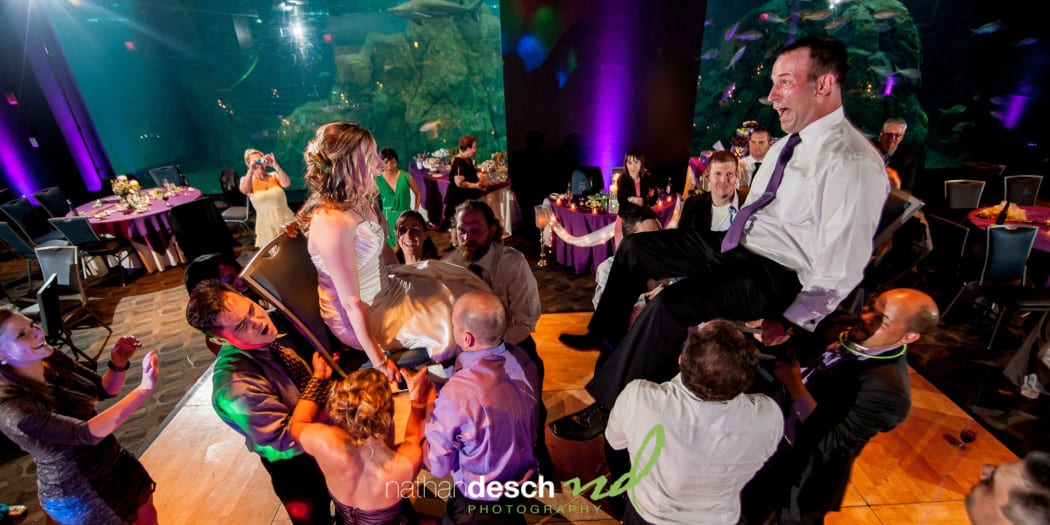Camden Aquarium Wedding Pictures by Best Philadelphia Wedding Photographer  Nathan Desch Photography