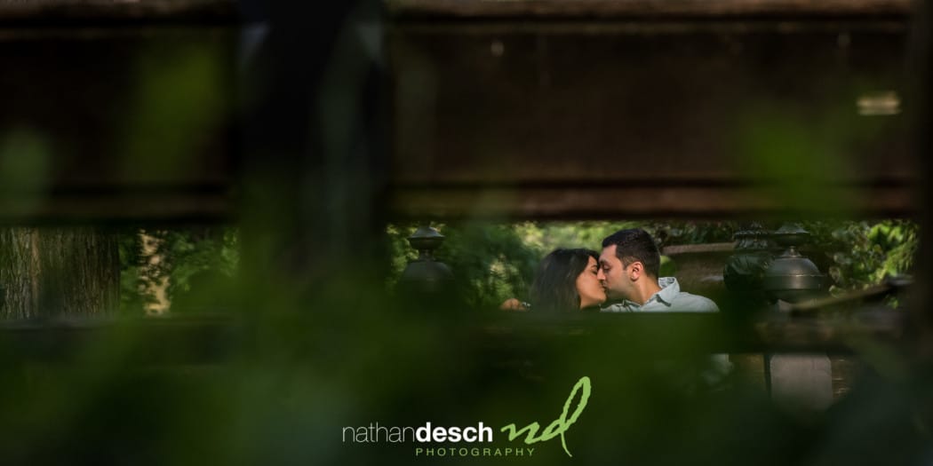 Engagement Pictures in Central Park, New York City