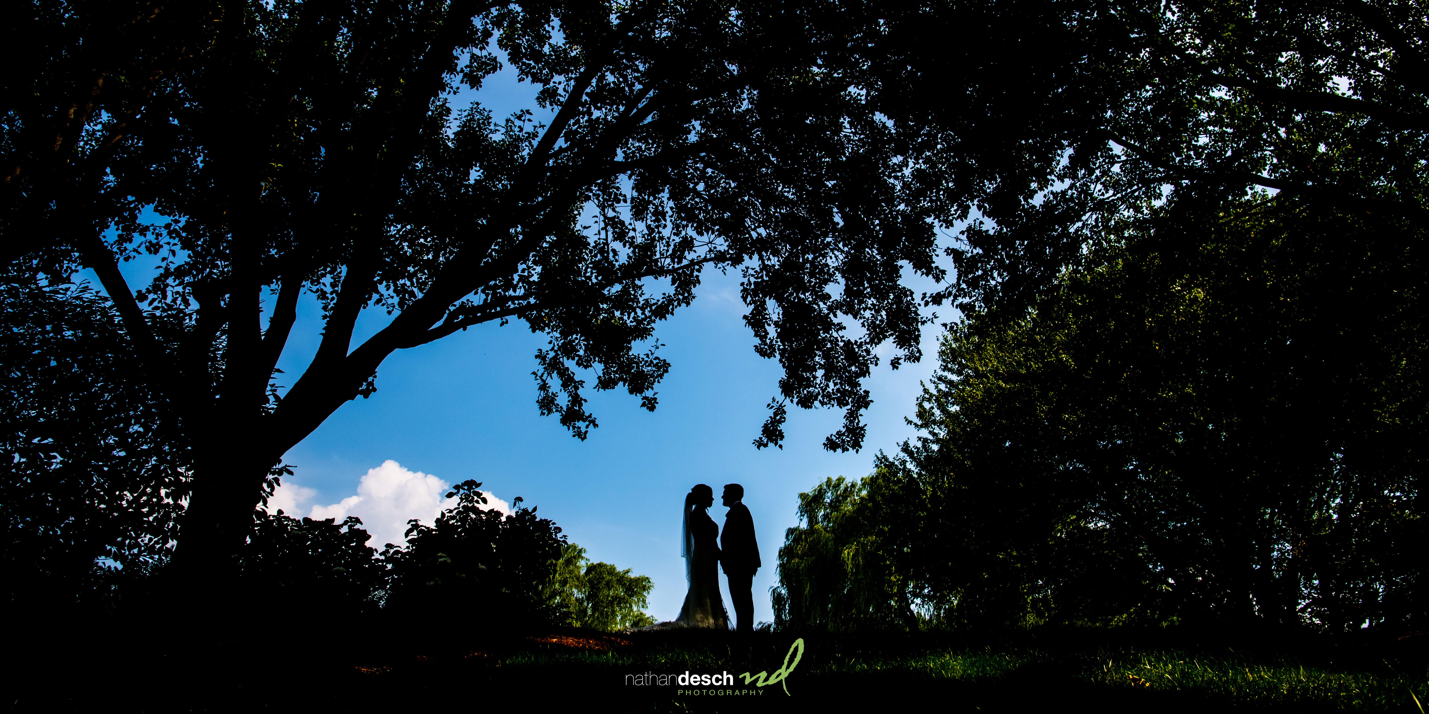 silhouette of bride and groom at the farm at eagles ridge