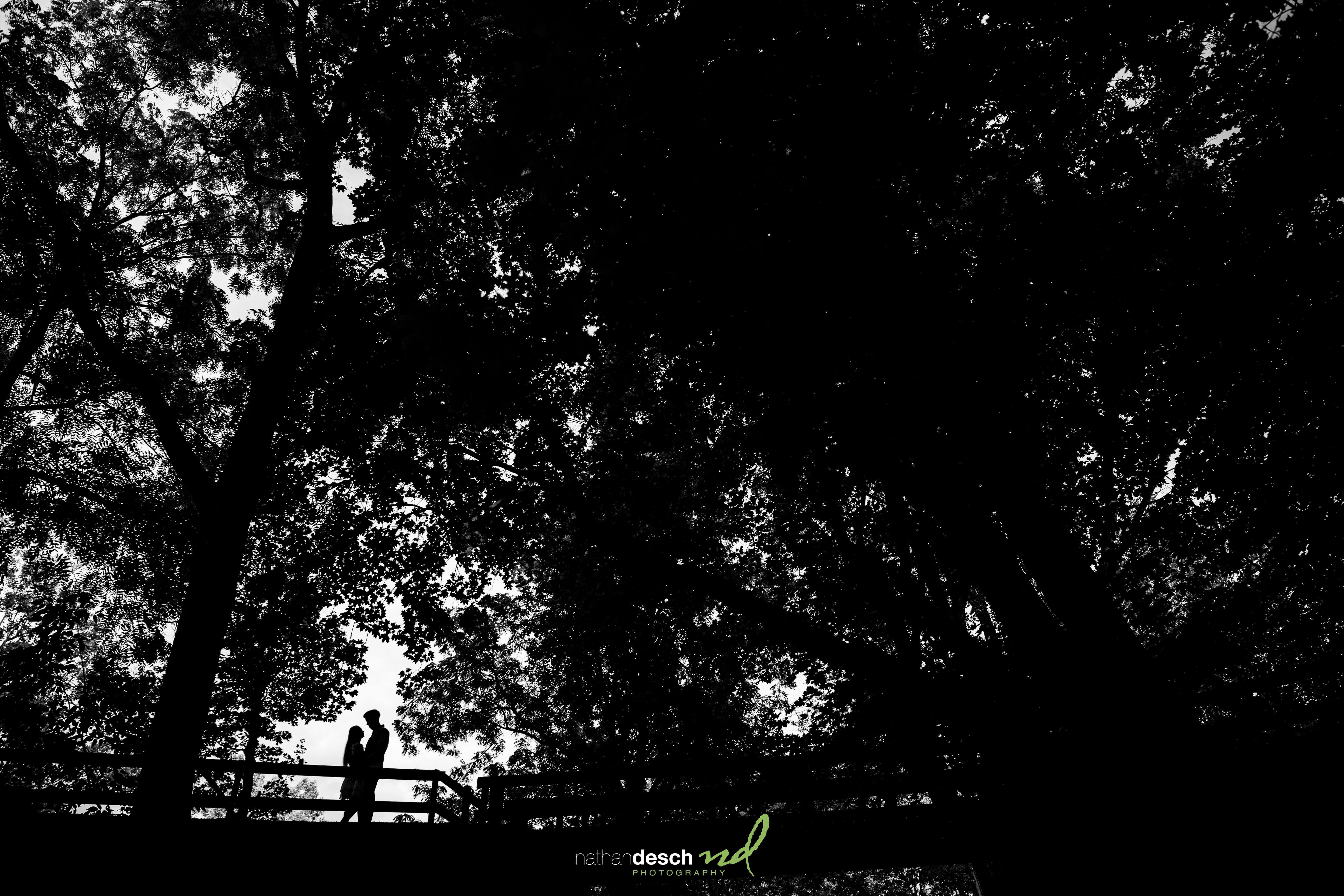 black and white silhouette picture of couple